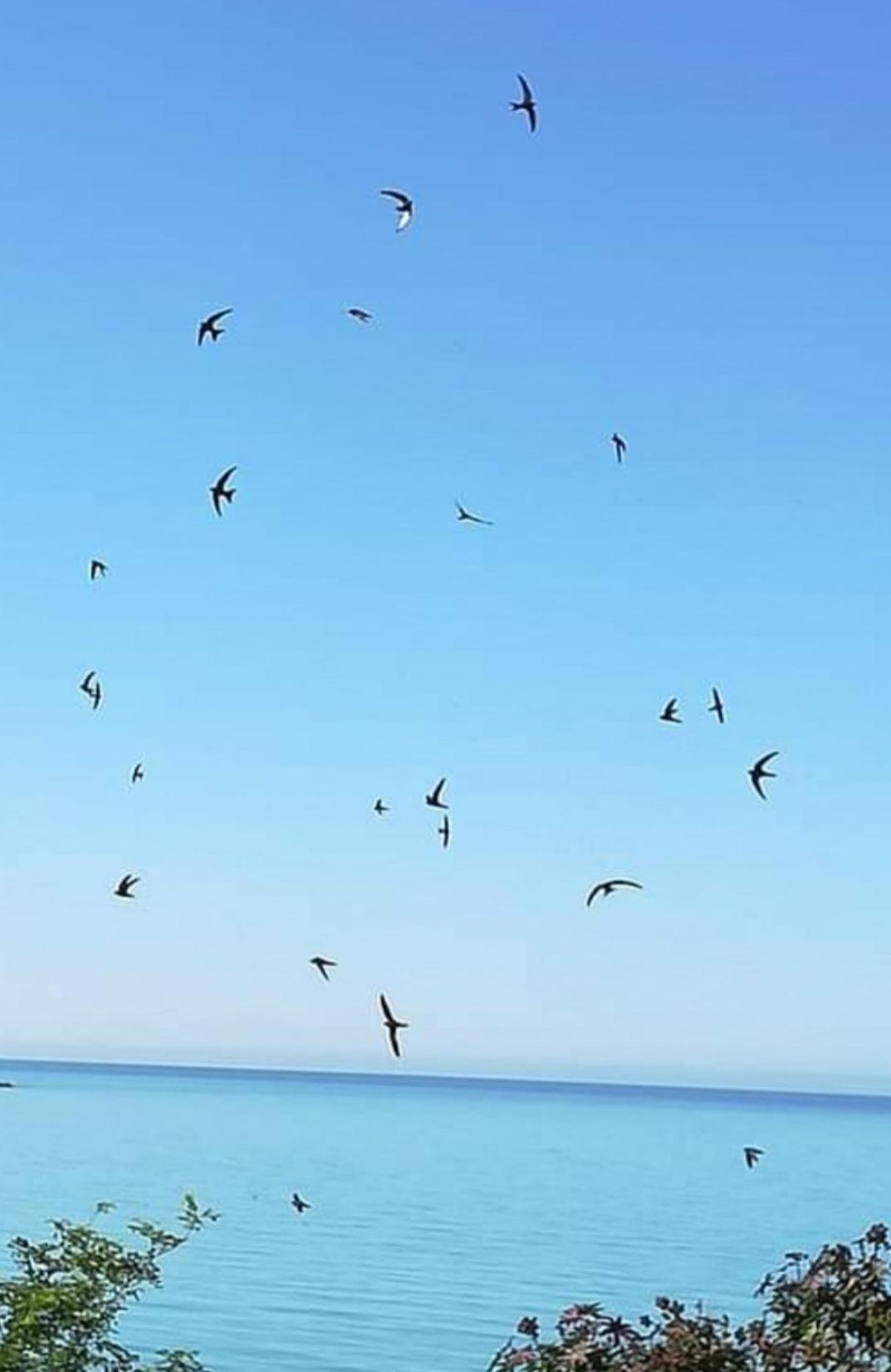 Mediterraneo Travel Джела Екстер'єр фото